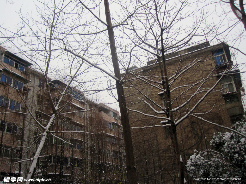 雪天