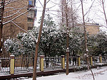 雪天