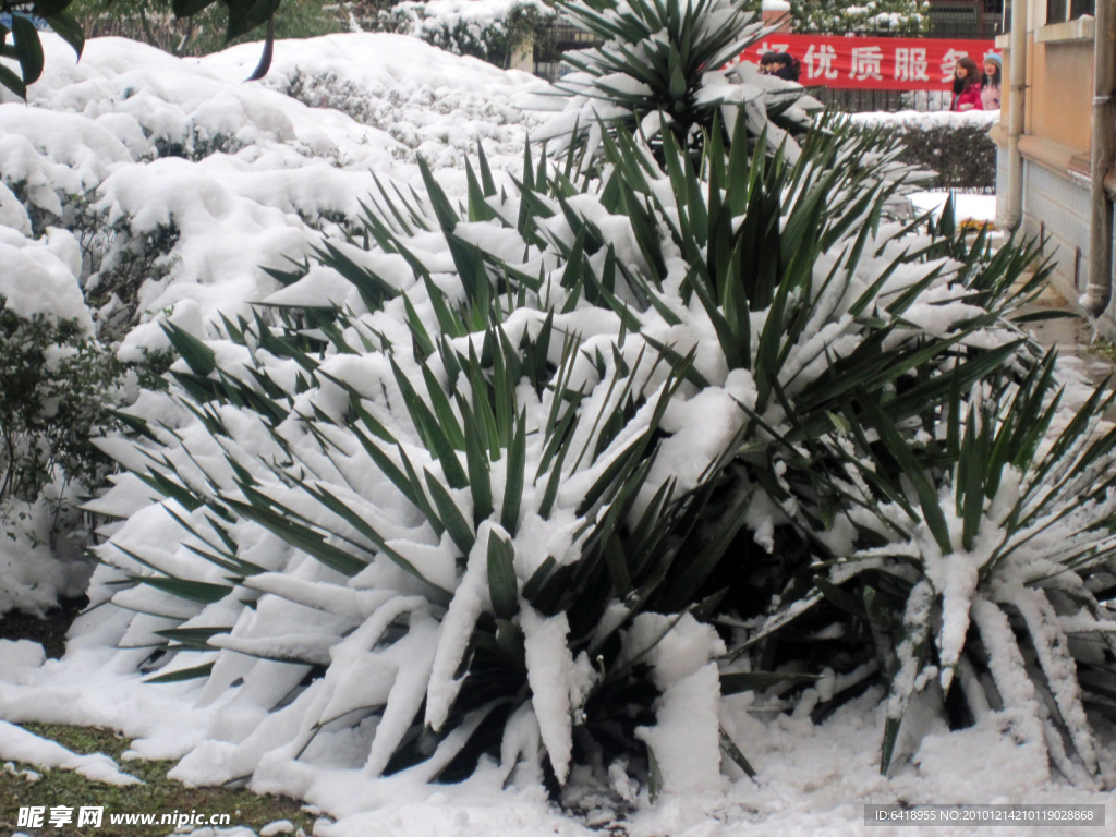 下雪天