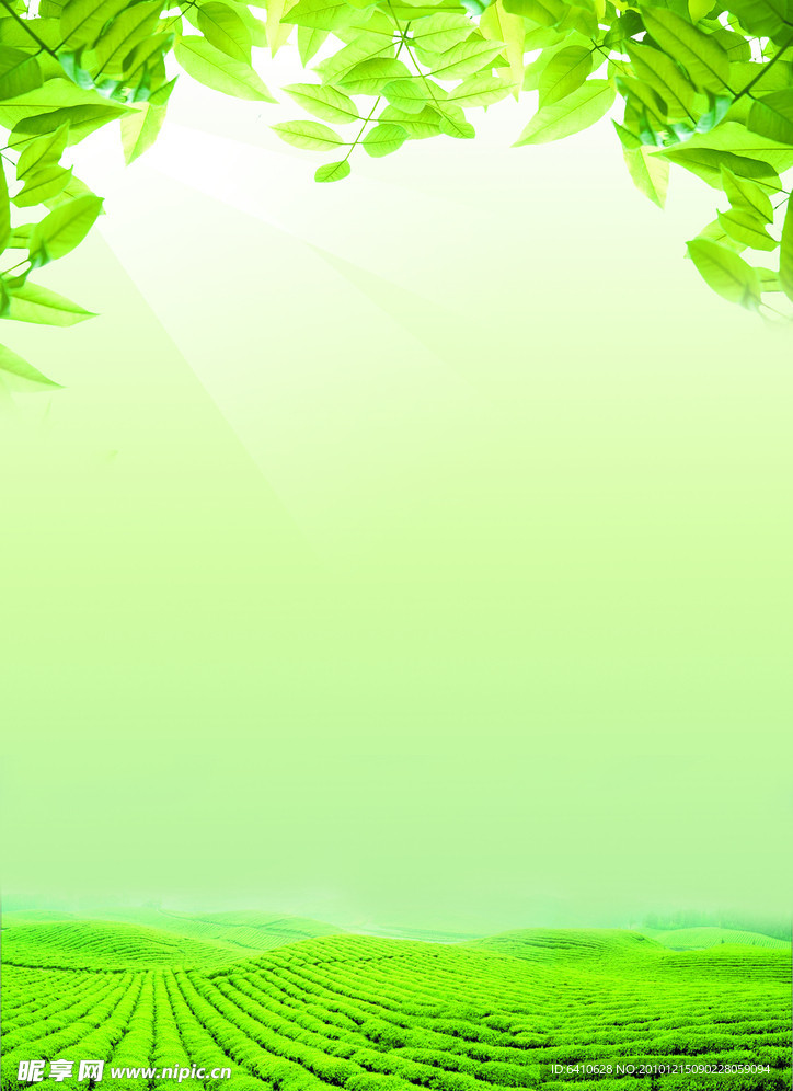 绿色背景