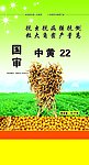 豆种包装
