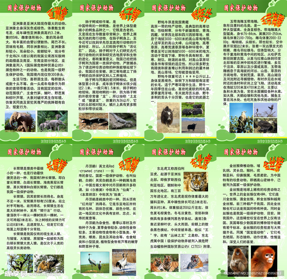保护动物