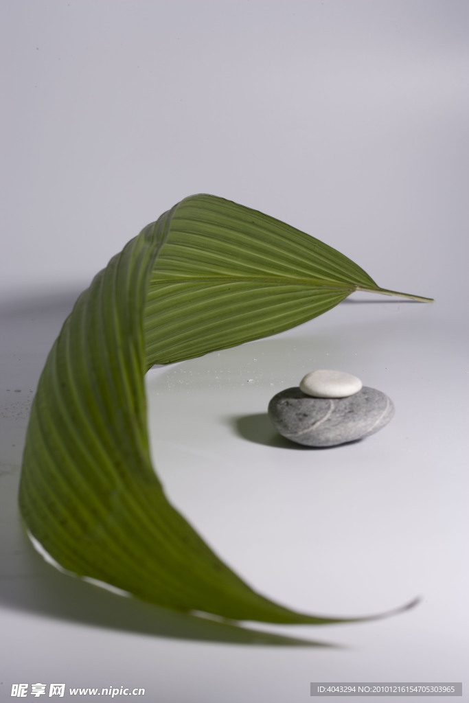 弯曲绿叶和石头