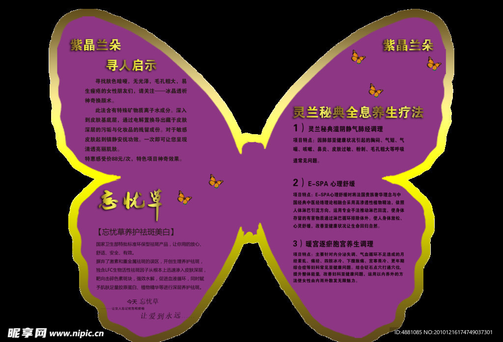 蝴蝶 美容 养生 忘忧草
