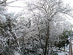 雪色