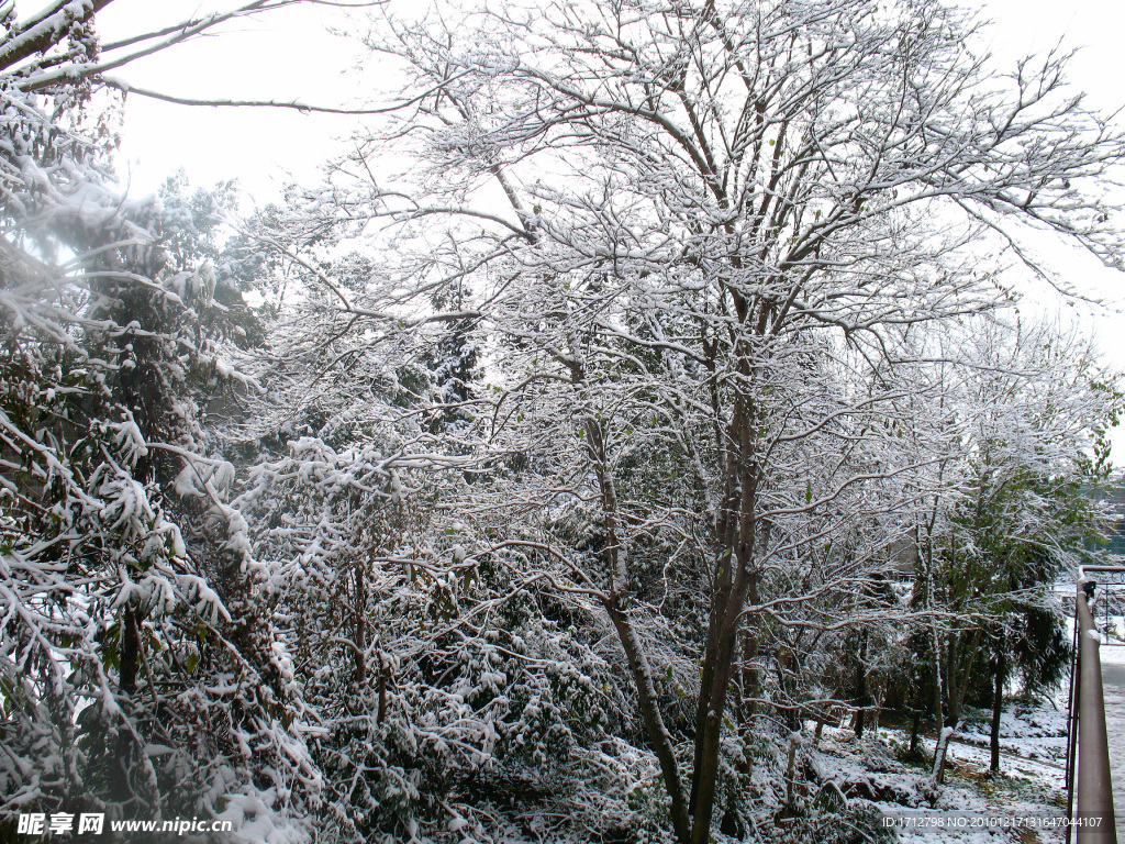 雪色