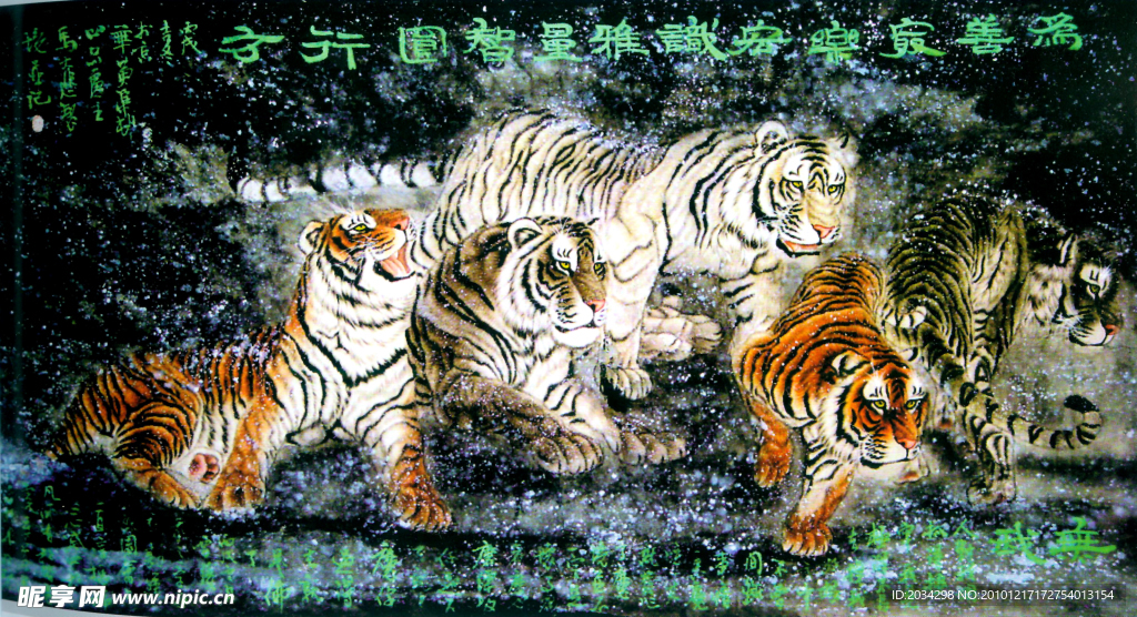 老虎
