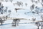 冬天美丽的雪景