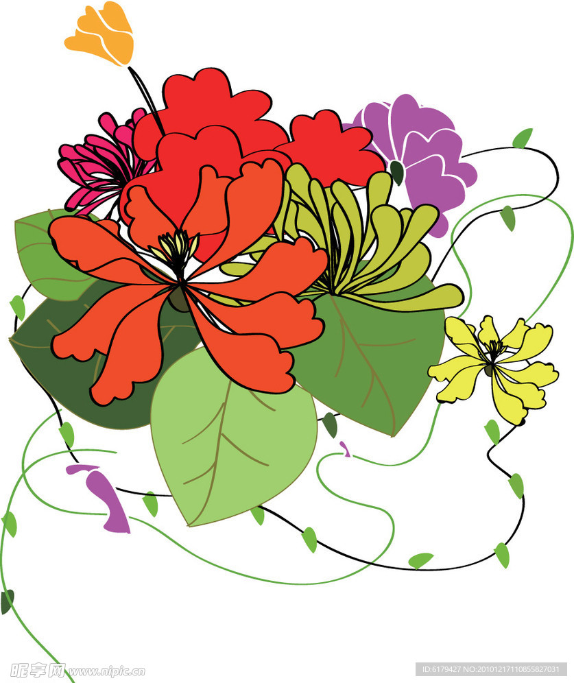 藤蔓花
