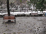 雪中风情