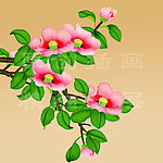 山茶花图