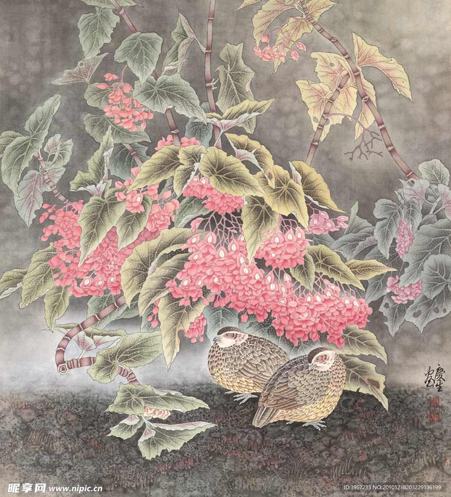 竹鸡