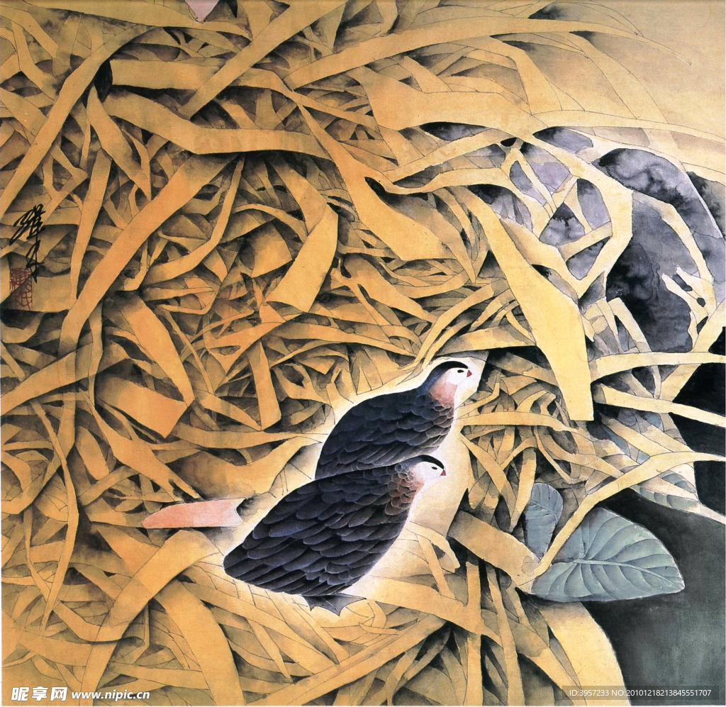 野禽