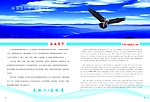 样本画册