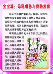 宝宝篇 母乳喂养与骨骼发育