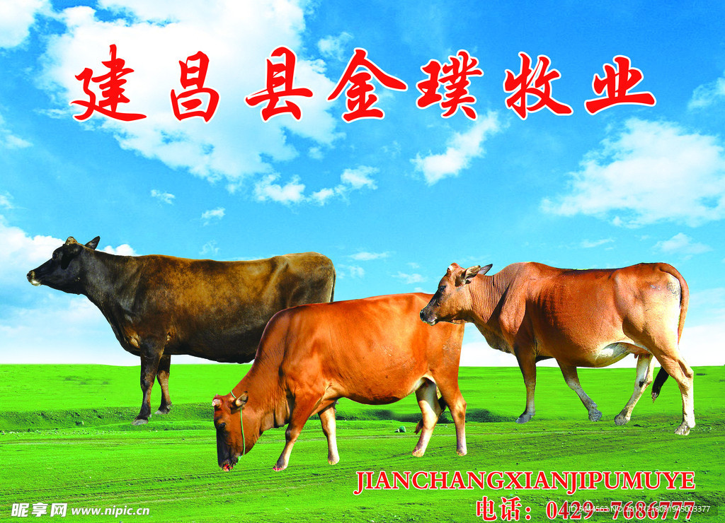 金璞牧业门头