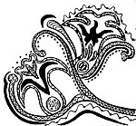 花纹 抽象