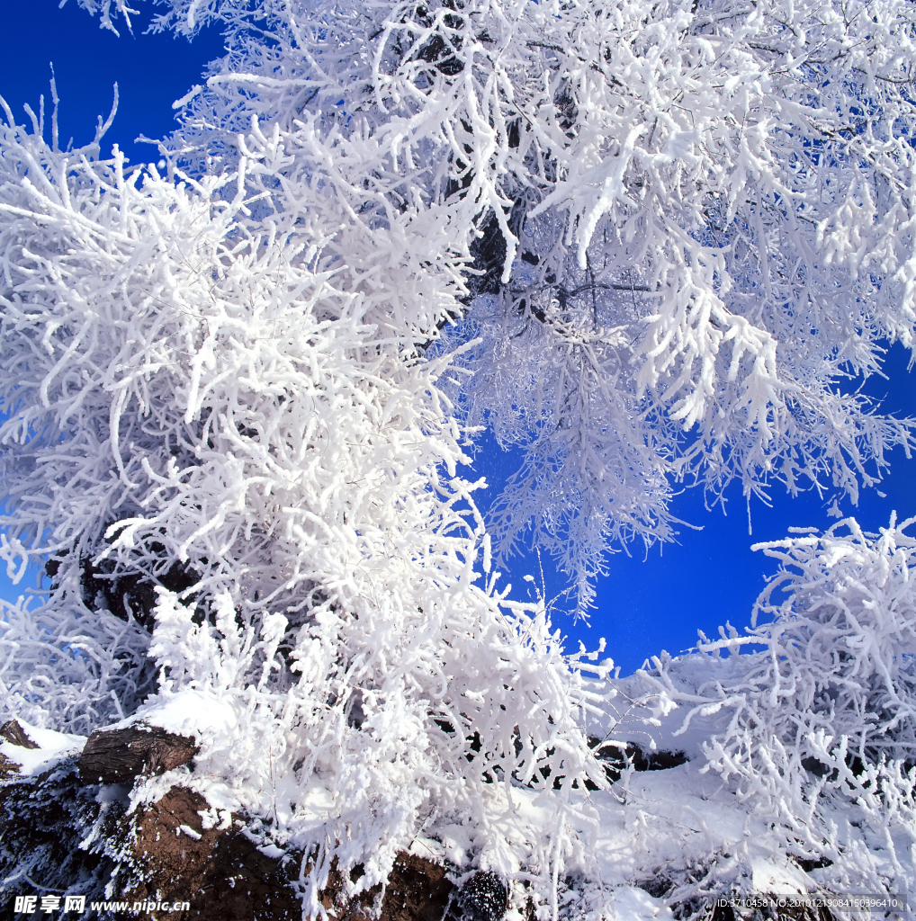 雪冰雾凇