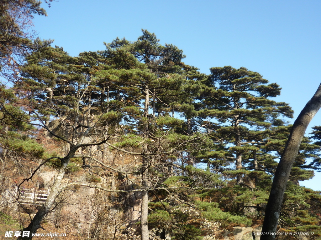 黄山风景