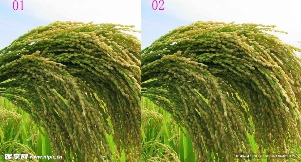 黑通道自动运算