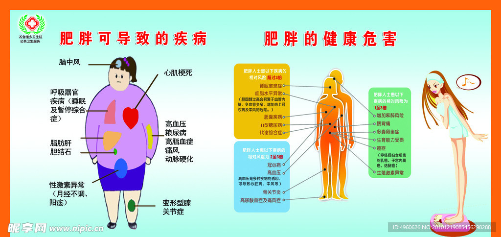 肥胖的健康危害