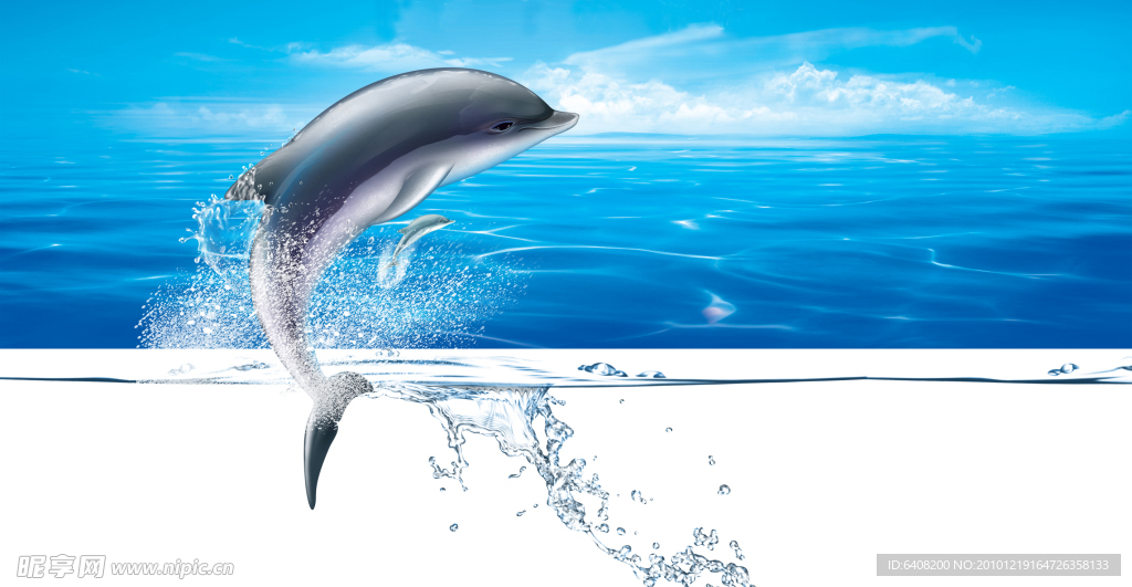 海豚