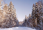 冬天雪景