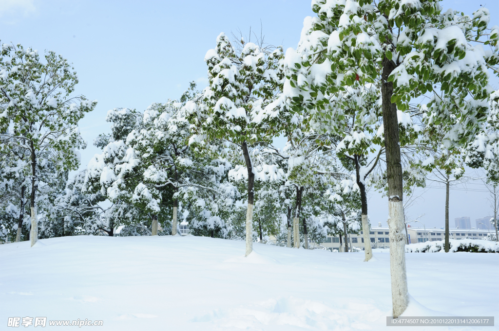冬天雪景