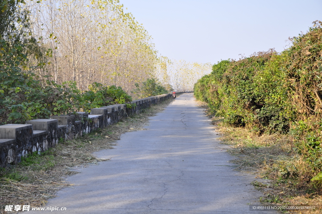 江提路