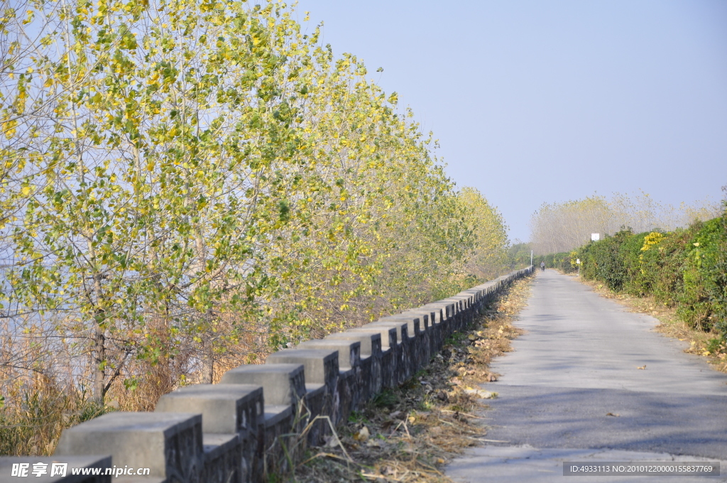 江边路