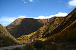 山景