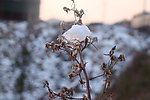 雪景