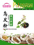 草本植物