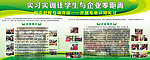 实习实训宣传栏
