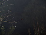 故乡夜色