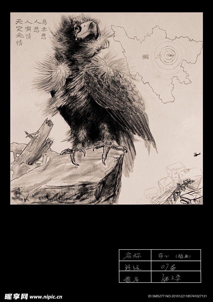 绘画鹰