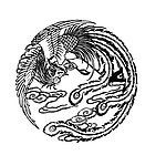 黑白凤