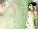 婚纱模板