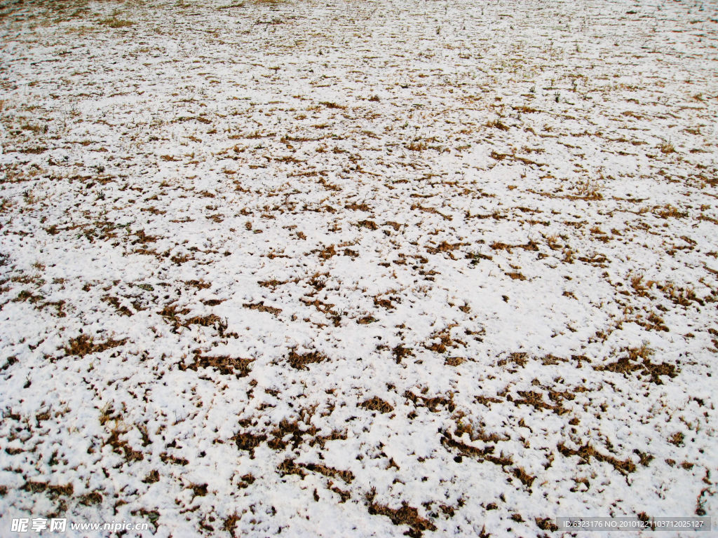 地上小雪