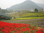 田园风光