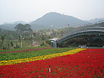 田园风光