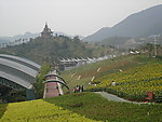 田园风光