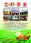 茶叶彩页
