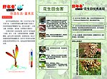 好年冬三折页反
