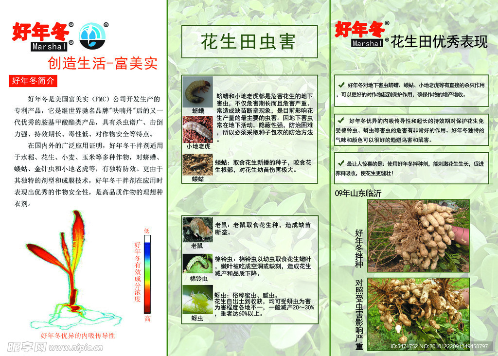 好年冬三折页反