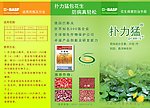 扑力猛三折页正