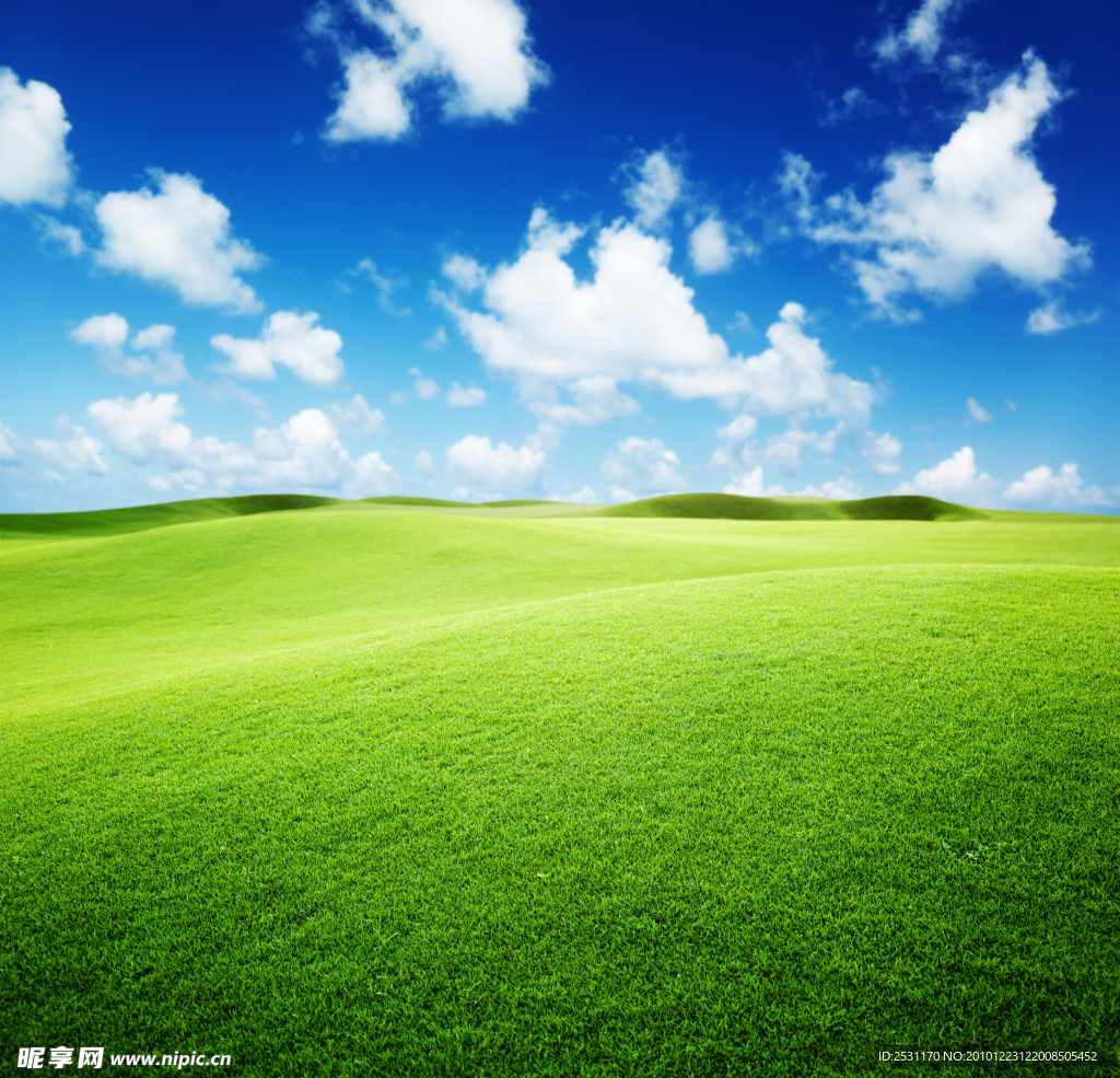 蓝天白云绿色草地桌面壁纸_高清风景壁纸_彼岸桌面