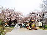 大阪城公园