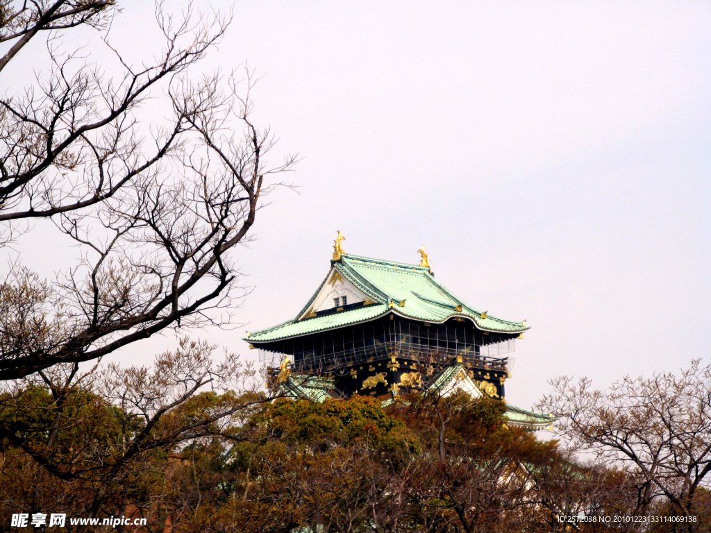 大阪城公园