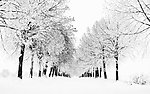 风雪下的小道